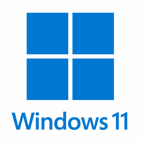 windows 11